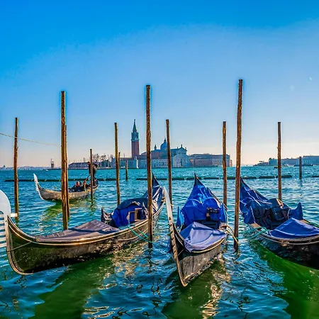 In 24416b Бибионе