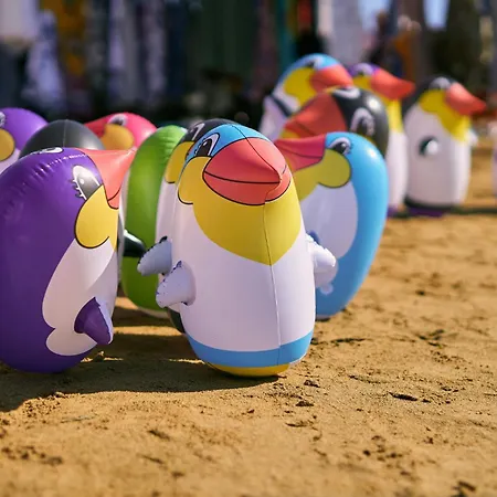 In 24416b * Бибионе