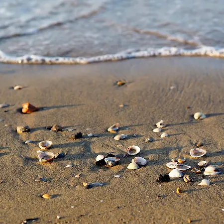 Апартаменты In 24416b Бибионе