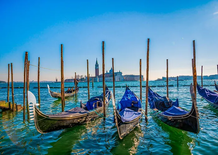 In 24416b Бибионе