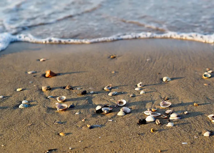 Апартаменты In 24416b Бибионе