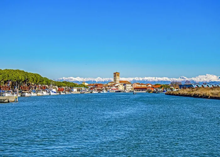 In 24416b Бибионе